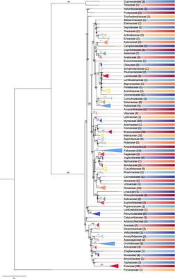 SPLACE: A tool to automatically SPLit, Align, and ConcatenatE genes for phylogenomic inference of several organisms